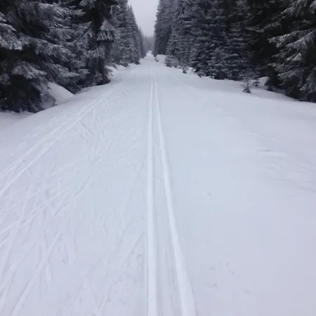 Apartamento Oblík - Kilián *