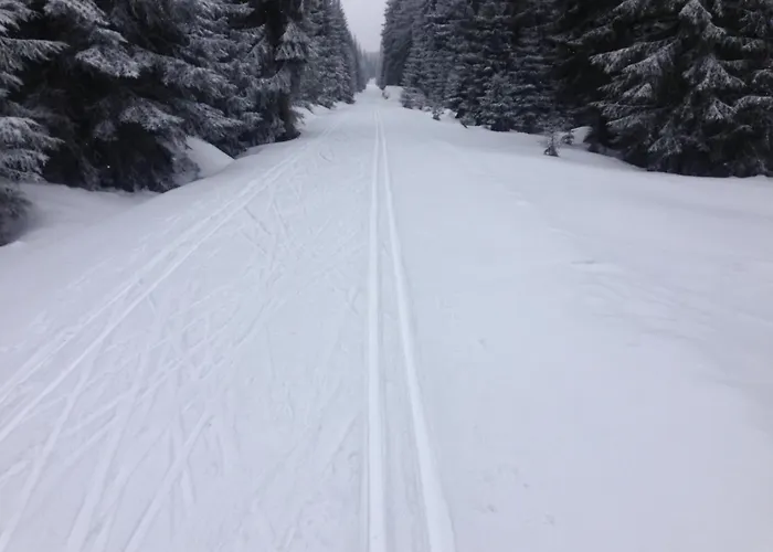Lägenhet Oblik - Kilian *